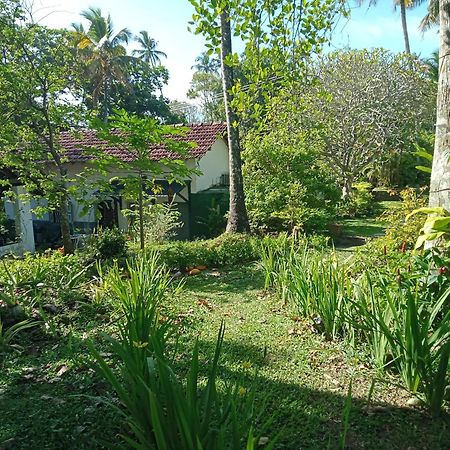 Hotel Freedom192 à Weligama Extérieur photo