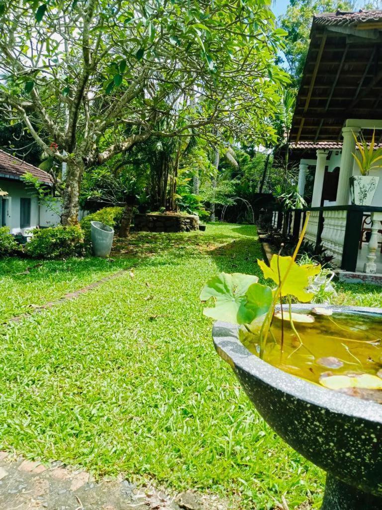 Hotel Freedom192 à Weligama Extérieur photo