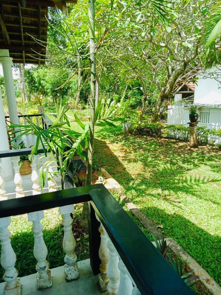 Hotel Freedom192 à Weligama Extérieur photo